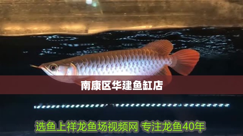<strong><mark>南康</mark></strong>區華建魚缸店