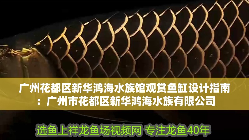 廣州花都區新華鴻海水族館觀賞魚缸設計指南：廣州市花都區新華鴻海水族有限公司