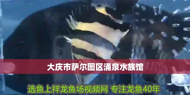 大慶市薩爾圖區涌泉水族館
