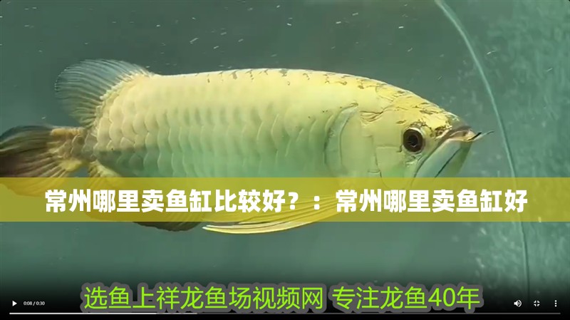 常州哪里賣魚缸比較好？：常州哪里賣魚缸好