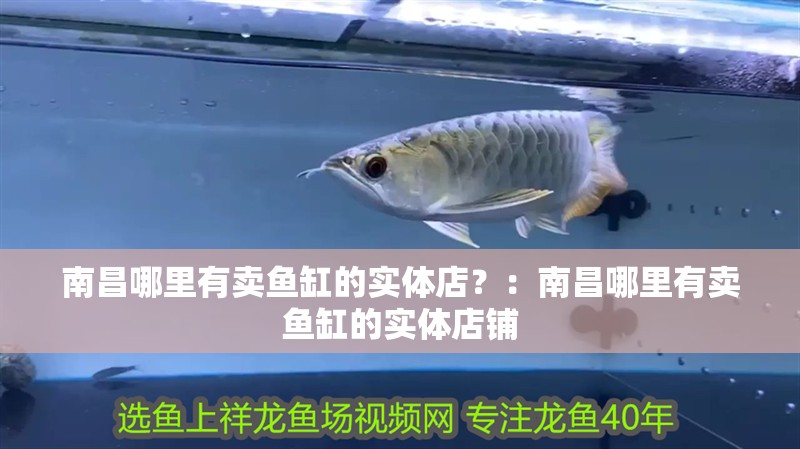 南昌哪里有賣魚缸的實體店？：南昌哪里有賣魚缸的實體店鋪