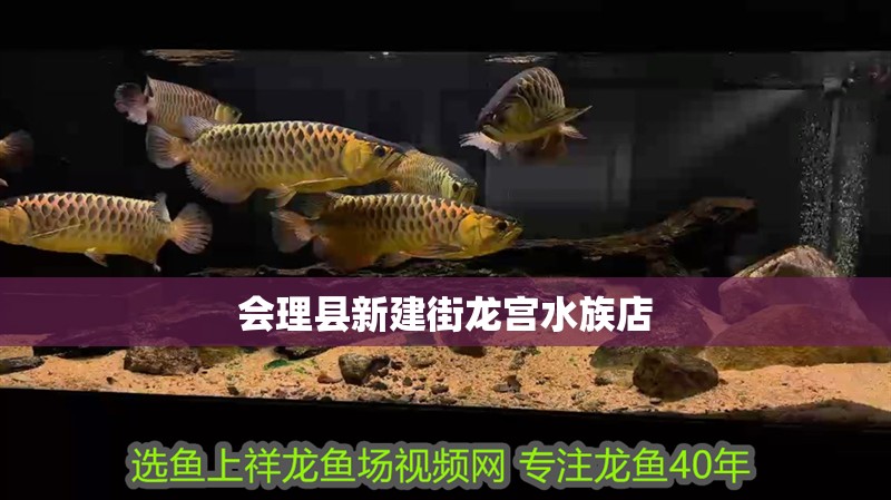 會理縣<strong><mark>新建</mark></strong>街龍宮水族店