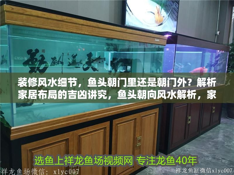 裝修風水細節，魚頭朝門里還是朝門外？解析家居布局的吉兇講究，魚頭朝向風水解析，家居布局中魚頭應朝門內還是門外？