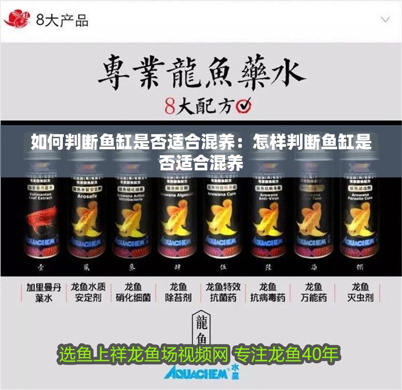 如何判斷魚缸是否適合混養(yǎng)：怎樣判斷魚缸是否適合混養(yǎng)