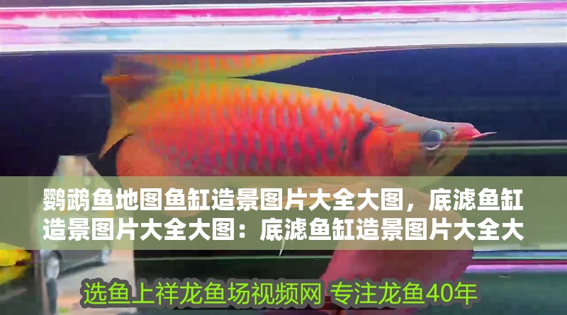 鸚鵡魚地圖魚缸造景圖片大全大圖，底濾魚缸造景圖片大全大圖：底濾魚缸造景圖片大全大圖