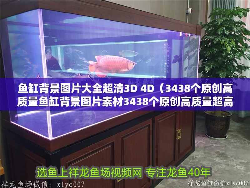 魚缸用增氧泵價(jià)格是多少:魚缸增氧機(jī)-xtrac增氧機(jī)-xtrac增氧機(jī) 魚缸背景圖片大全超清3D 4D(3438個(gè)原創(chuàng)高質(zhì)量魚缸背景圖片素材3438個(gè)原創(chuàng)高質(zhì)量超高清魚缸背景圖片素材) 魚缸百科 魚缸背景圖片大全超清3D 4D(3438個(gè)原創(chuàng)高質(zhì)量魚缸背景圖片素材3438個(gè)原創(chuàng)高質(zhì)量超高清魚缸背景圖片素材) 魚缸背景圖片大全超清3D 4D(3438個(gè)原創(chuàng)高質(zhì)量魚缸背景圖片素材3438個(gè)原創(chuàng)高質(zhì)量超高清魚缸背景圖片素材) 魚缸百科