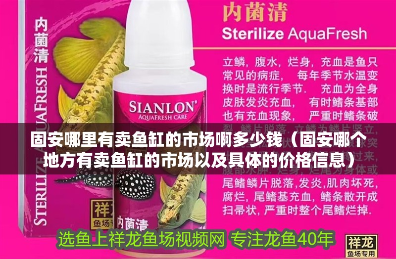 固安哪里有賣魚缸的市場啊多少錢（固安哪個地方有賣魚缸的市場以及具體的價格信息）