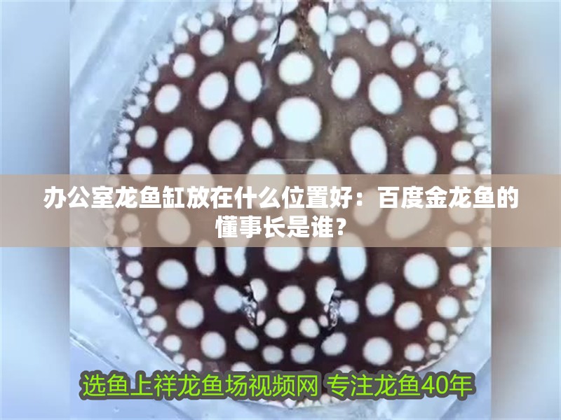 辦公室龍魚缸放在什么位置好：百度金龍魚的懂事長是誰？ 辦公室龍魚缸放在什么位置好：百度金龍魚的懂事長是誰？ 龍魚百科