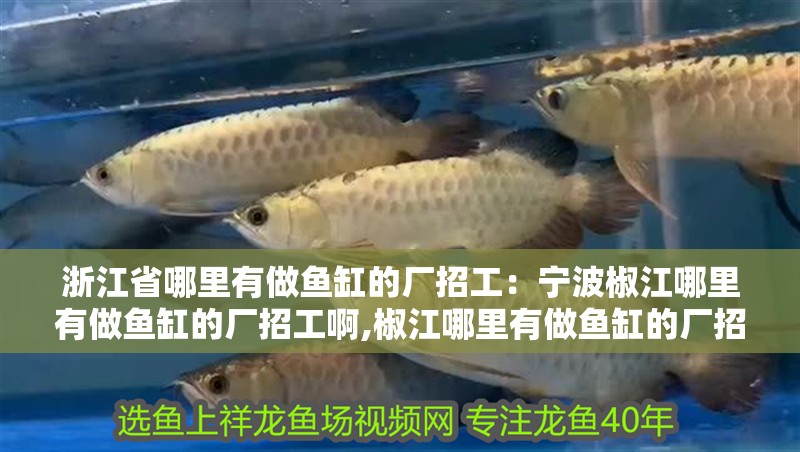 浙江省哪里有做魚缸的廠招工：寧波椒江哪里有做魚缸的廠招工啊,椒江哪里有做魚缸的廠招工啊