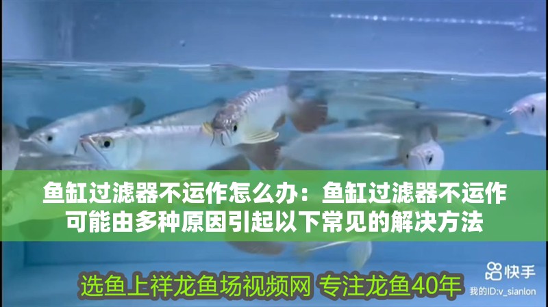 魚缸過濾器不運作怎么辦：魚缸過濾器不運作可能由多種原因引起以下常見的解決方法 魚缸過濾器不運作怎么辦：魚缸過濾器不運作可能由多種原因引起以下常見的解決方法 魚缸百科