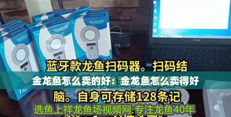 金龍魚怎么賣的好：金龍魚怎么賣得好