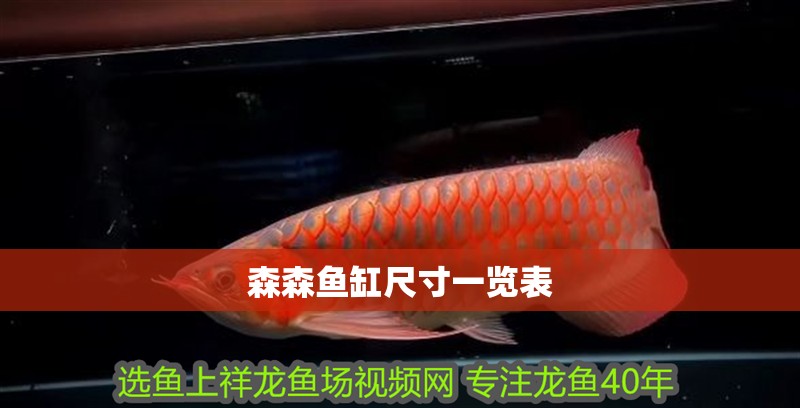 森森魚缸尺寸一覽表