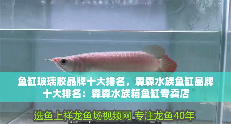 魚缸玻璃膠品牌十大排名，森森水族魚缸品牌十大排名：森森水族箱魚缸專賣店