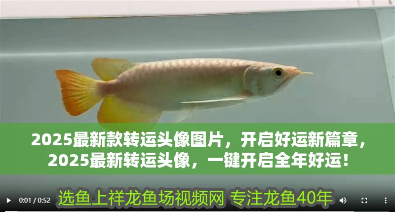 2025最新款轉(zhuǎn)運頭像圖片，開啟好運新篇章，2025最新轉(zhuǎn)運頭像，一鍵開啟全年好運！