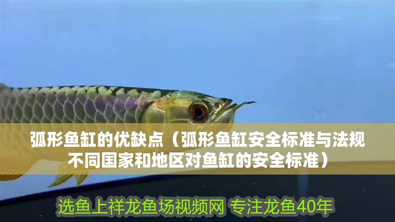 弧形魚缸的優缺點（弧形魚缸安全標準與法規不同國家和地區對魚缸的安全標準）
