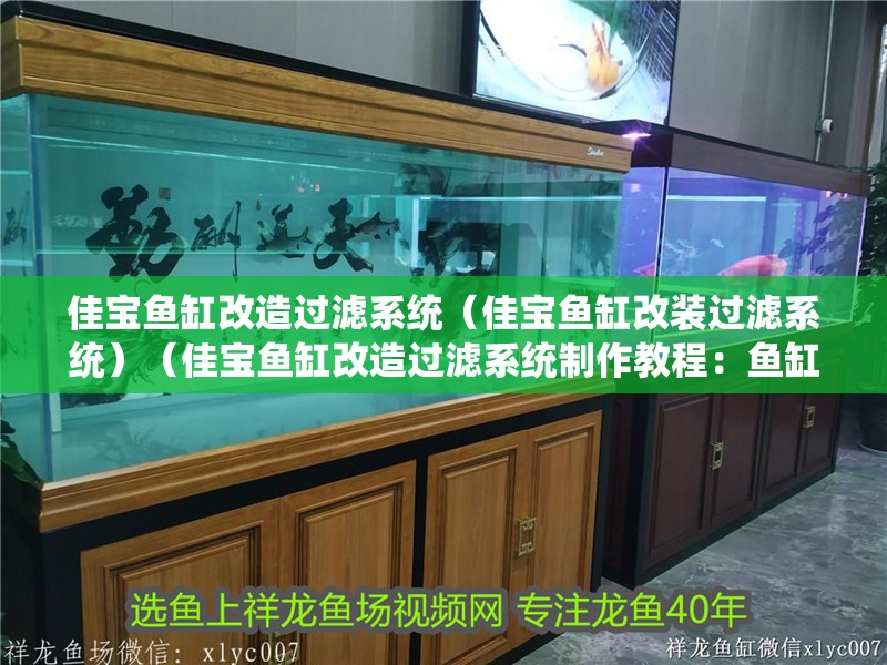 佳寶魚缸改造過濾系統（佳寶魚缸改裝過濾系統）（佳寶魚缸改造過濾系統制作教程：魚缸過濾系統制作教程）