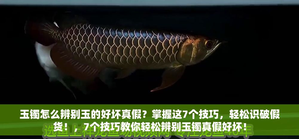 玉鐲怎么辨別玉的好壞真假？掌握這7個技巧，輕松識破假貨！，7個技巧教你輕松辨別玉鐲真假好壞！