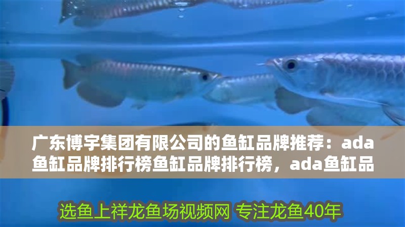 廣東博宇集團有限公司的魚缸品牌推薦：ada魚缸品牌排行榜魚缸品牌排行榜，ada魚缸品牌排行榜