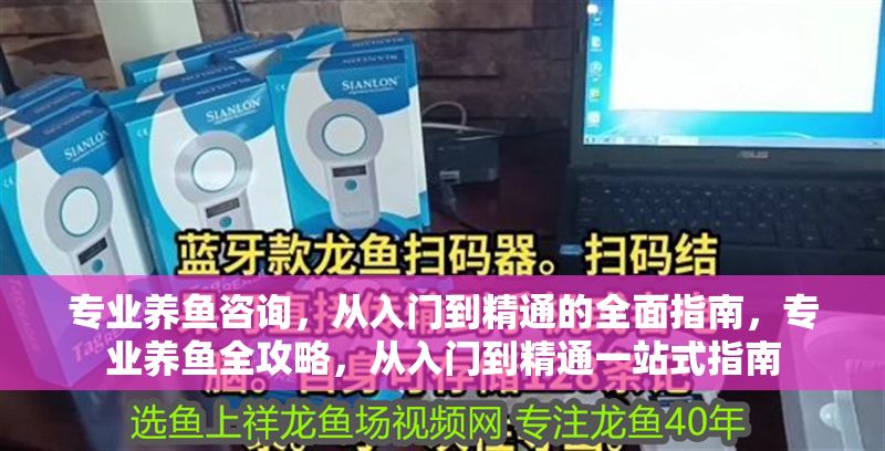 專業養魚咨詢，從入門到精通的全面指南，專業養魚全攻略，從入門到精通一站式指南