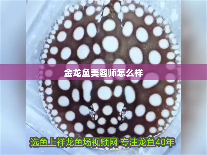金龍魚美容師怎么樣