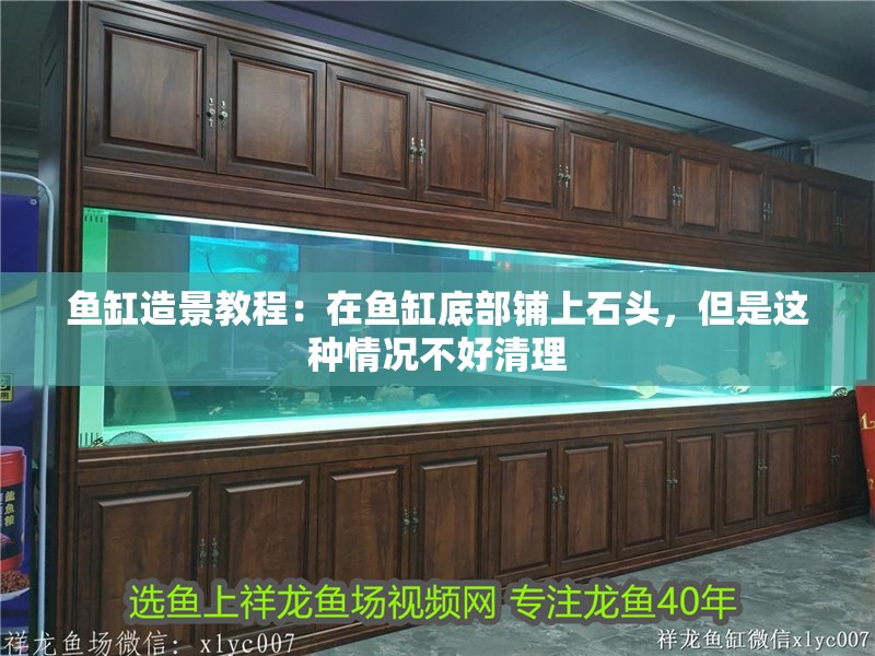 魚(yú)缸造景教程：在魚(yú)缸底部鋪上石頭，但是這種情況不好清理 魚(yú)缸造景教程：在魚(yú)缸底部鋪上石頭，但是這種情況不好清理 魚(yú)缸百科