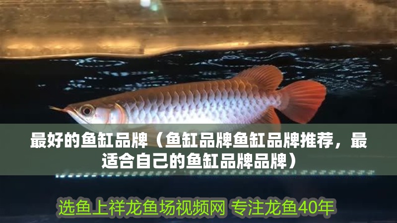 最好的魚缸品牌（魚缸品牌魚缸品牌推薦，最適合自己的魚缸品牌品牌） 最好的魚缸品牌（魚缸品牌魚缸品牌推薦，最適合自己的魚缸品牌品牌） 魚缸百科