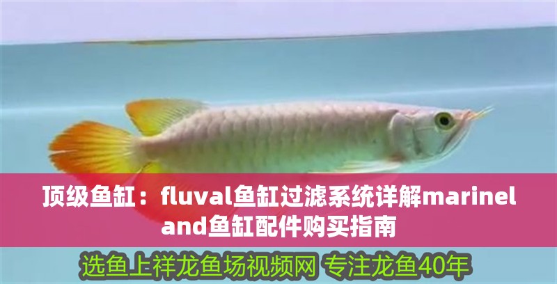 頂級(jí)魚缸：fluval魚缸過濾系統(tǒng)詳解marineland魚缸配件購(gòu)買指南