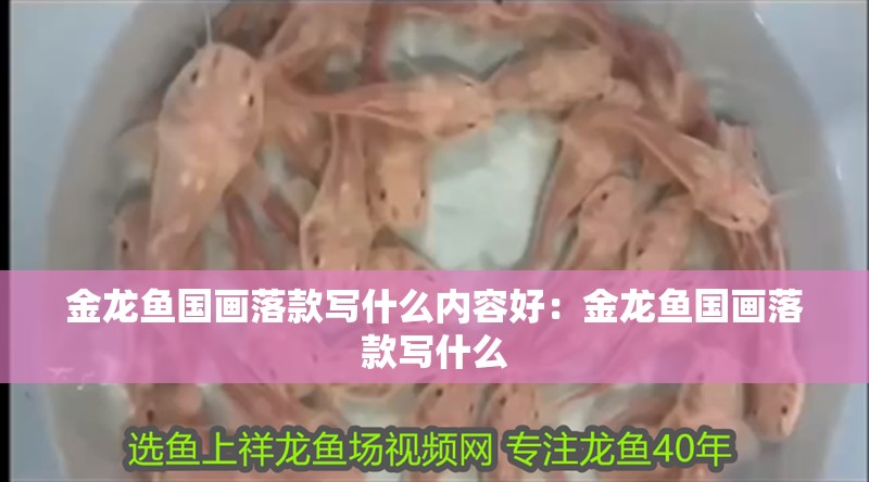 金龍魚國畫落款寫什么內容好：金龍魚國畫落款寫什么 金龍魚國畫落款寫什么內容好：金龍魚國畫落款寫什么 龍魚百科