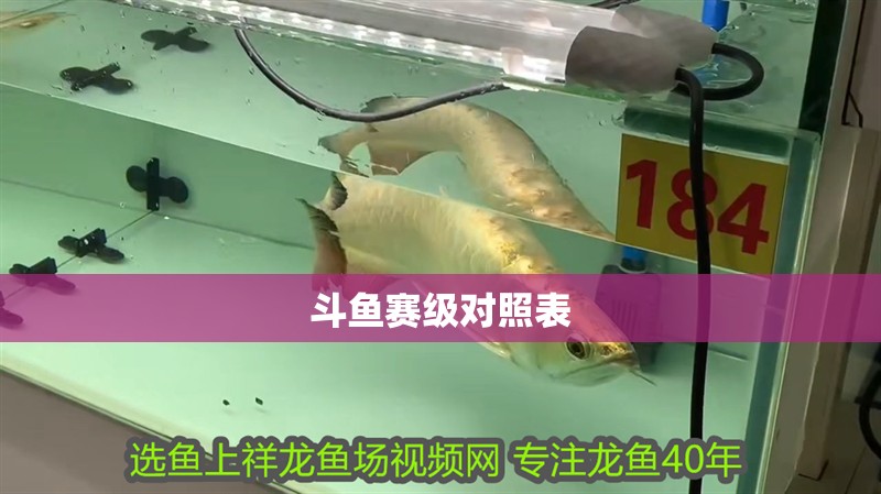 斗魚賽級對照表 斗魚賽級對照表 龍魚論壇