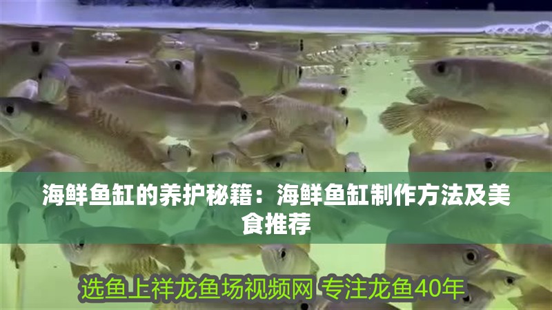 海鮮魚缸的養護秘籍：海鮮魚缸制作方法及美食推薦