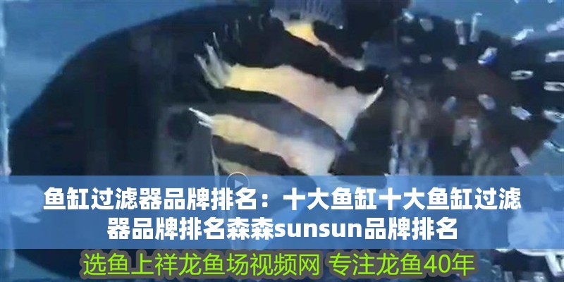 魚缸過濾器品牌排名：十大魚缸十大魚缸過濾器品牌排名森森sunsun品牌排名