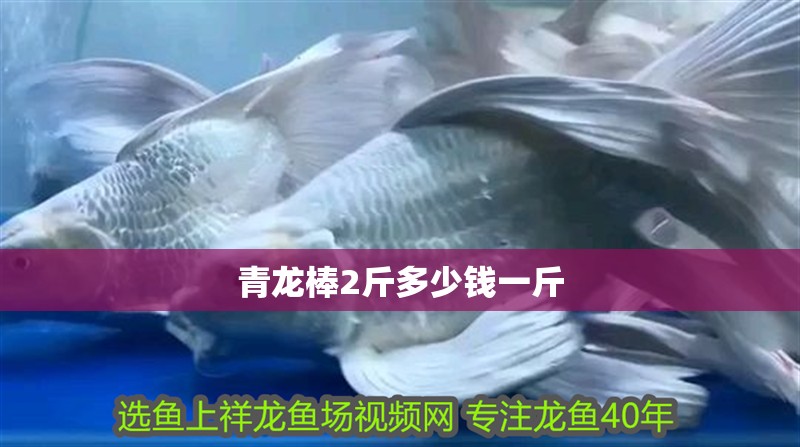 青龍棒2斤多少錢一斤