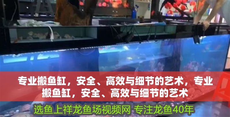 專業(yè)搬魚缸，安全、高效與細(xì)節(jié)的藝術(shù)，專業(yè)搬魚缸，安全、高效與細(xì)節(jié)的藝術(shù)