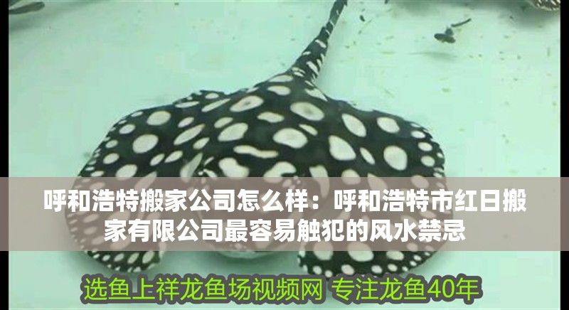 呼和浩特搬家公司怎么樣：呼和浩特市紅日搬家有限公司最容易觸犯的風水禁忌