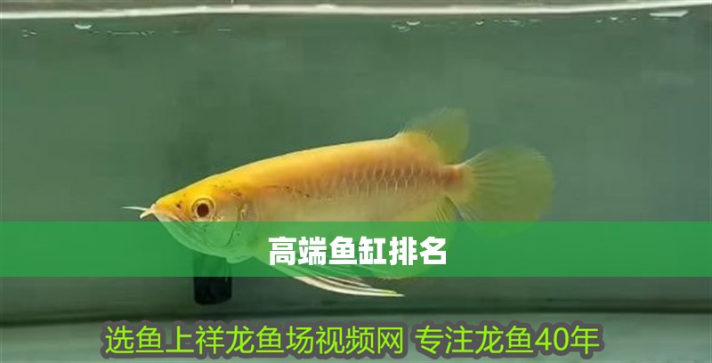 魚(yú)缸用增氧泵價(jià)格是多少:魚(yú)缸增氧機(jī)-xtrac增氧機(jī)-xtrac增氧機(jī) 高端魚(yú)缸排名 龍魚(yú)論壇 高端魚(yú)缸排名 高端魚(yú)缸排名 龍魚(yú)論壇