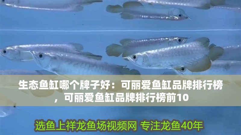 生態魚缸哪個牌子好：可麗愛魚缸品牌排行榜，可麗愛魚缸品牌排行榜前10 生態魚缸哪個牌子好：可麗愛魚缸品牌排行榜，可麗愛魚缸品牌排行榜前10 魚缸百科