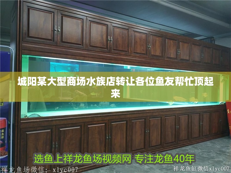 城陽(yáng)某大型商場(chǎng)水族店轉(zhuǎn)讓各位魚(yú)友幫忙頂起來(lái)