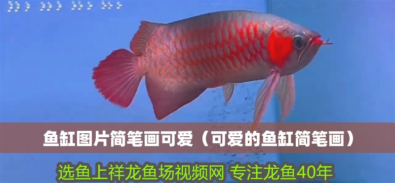 魚缸圖片簡筆畫可愛（可愛的魚缸簡筆畫）