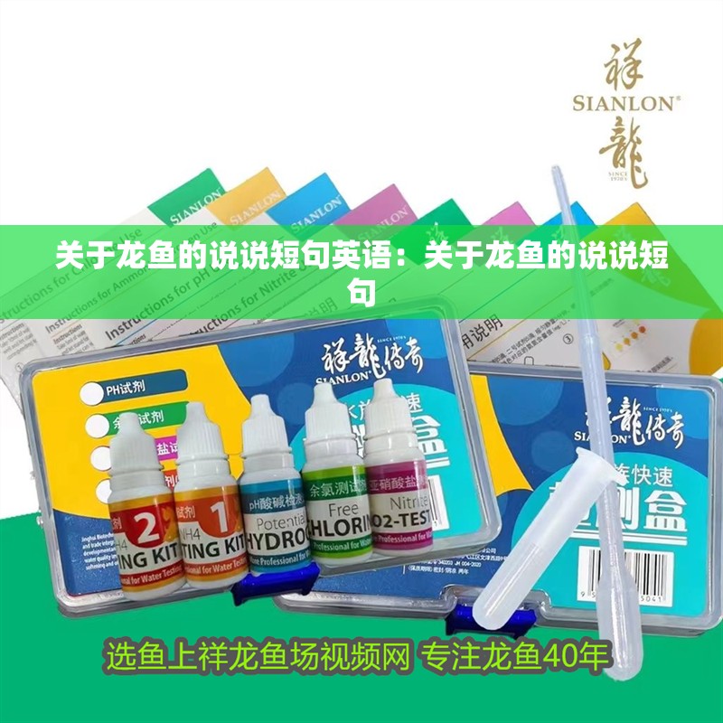 紅龍魚用黃燈烤有用嗎 關(guān)于龍魚的說說短句英語:關(guān)于龍魚的說說短句 龍魚百科 關(guān)于龍魚的說說短句英語:關(guān)于龍魚的說說短句 關(guān)于龍魚的說說短句英語:關(guān)于龍魚的說說短句 龍魚百科