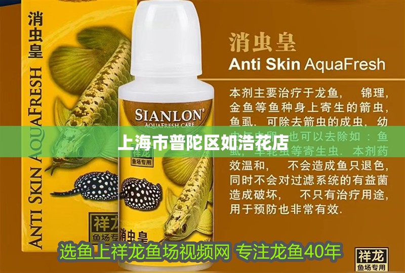 上海市<strong><mark>普陀</mark></strong>區如浩花店