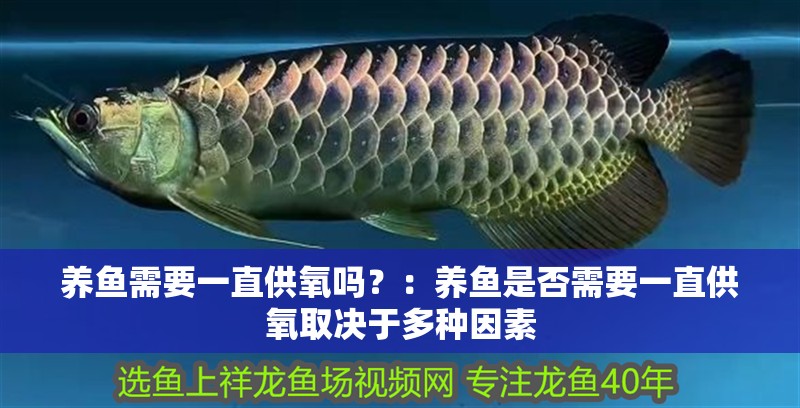 養魚需要一直供氧嗎？：養魚是否需要一直供氧取決于多種因素
