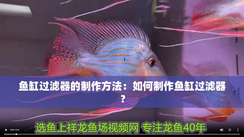 魚缸過濾器的制作方法：如何制作魚缸過濾器？ 魚缸過濾器的制作方法：如何制作魚缸過濾器？ 魚缸百科