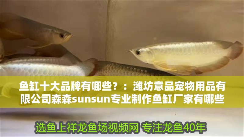 魚(yú)缸十大品牌有哪些？：濰坊意品寵物用品有限公司森森sunsun專業(yè)制作魚(yú)缸廠家有哪些