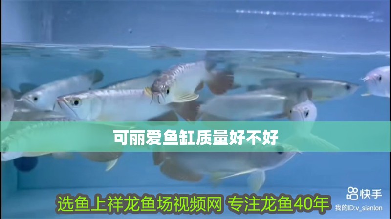 可麗愛魚缸質量好不好 可麗愛魚缸質量好不好 魚缸百科