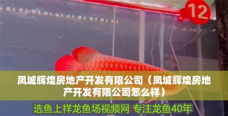 鳳城輝煌房地產開發有限公司（鳳城輝煌房地產開發有限公司怎么樣）