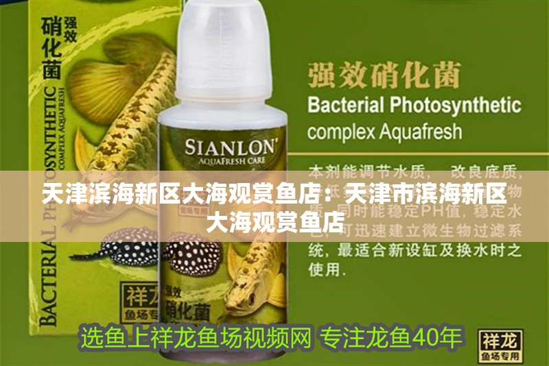 天津濱海新區(qū)大海觀賞魚店：天津市濱海新區(qū)大海觀賞魚店