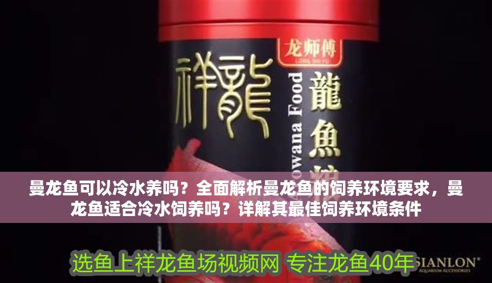 曼龍魚可以冷水養嗎？全面解析曼龍魚的飼養環境要求，曼龍魚適合冷水飼養嗎？詳解其最佳飼養環境條件