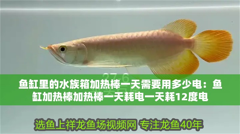 魚缸里的水族箱加熱棒一天需要用多少電：魚缸加熱棒加熱棒一天耗電一天耗12度電