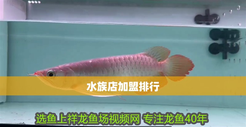 水族店加盟排行