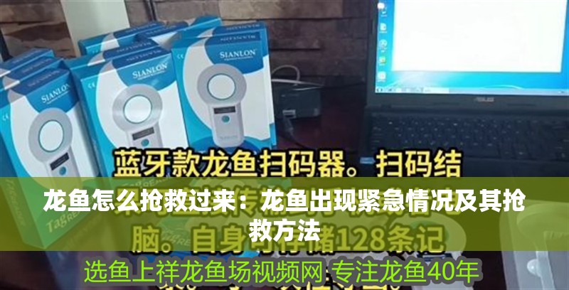 龍魚怎么搶救過來：龍魚出現(xiàn)緊急情況及其搶救方法